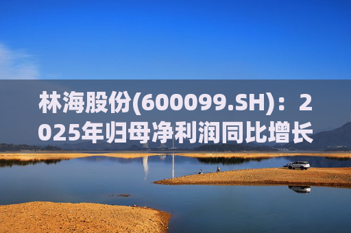 林海股份(600099.SH)：2025年归母净利润同比增长33.24%，每股拟派利0.045元