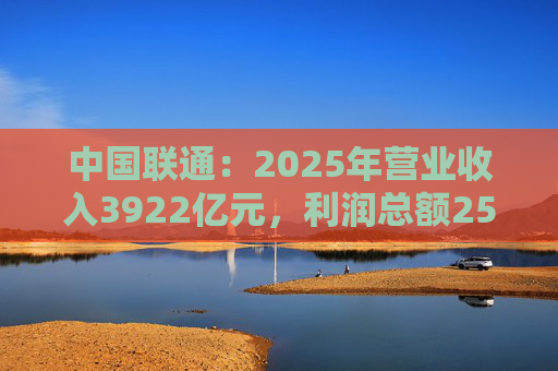 中国联通：2025年营业收入3922亿元，利润总额253亿元  第1张