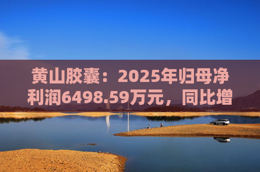 黄山胶囊：2025年归母净利润6498.59万元，同比增长31.94%