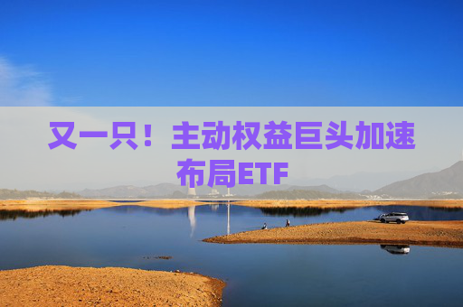 又一只！主动权益巨头加速布局ETF  第1张