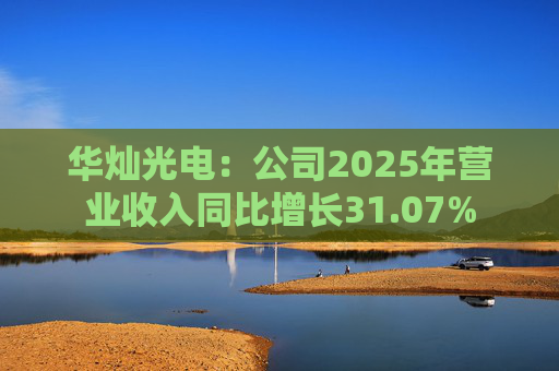 华灿光电：公司2025年营业收入同比增长31.07%