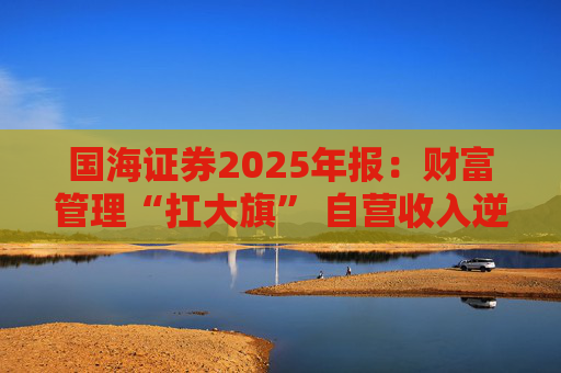 国海证券2025年报：财富管理“扛大旗” 自营收入逆势大降 投行收入占比仅2%  第1张