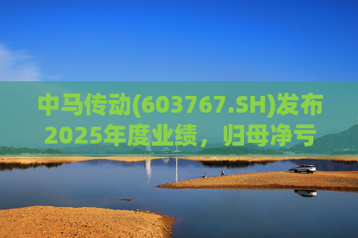 中马传动(603767.SH)发布2025年度业绩，归母净亏损580万元  第1张