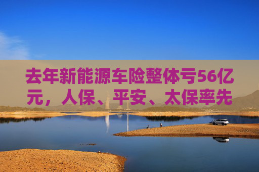 去年新能源车险整体亏56亿元，人保、平安、太保率先跨过盈亏线