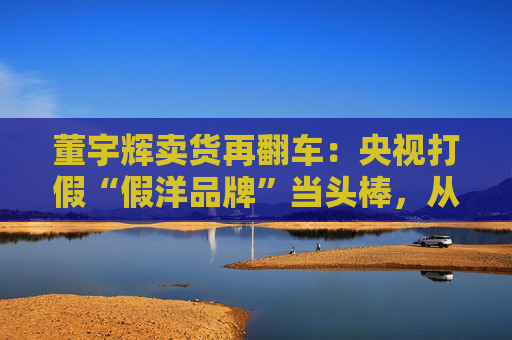 董宇辉卖货再翻车：央视打假“假洋品牌”当头棒，从道歉拖延看“文化人设”的信任裂痕