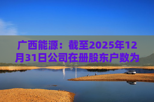 广西能源：截至2025年12月31日公司在册股东户数为53413户