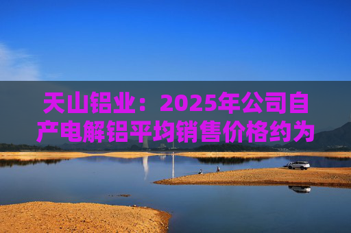 天山铝业：2025年公司自产电解铝平均销售价格约为20600元/吨