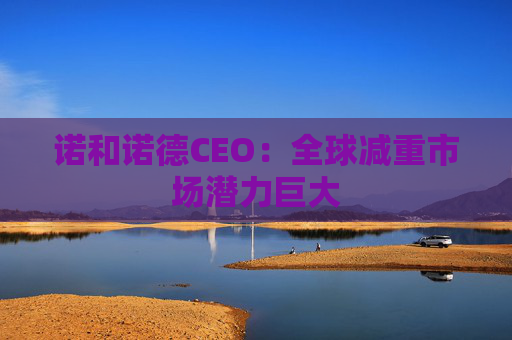 诺和诺德CEO：全球减重市场潜力巨大