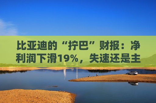 比亚迪的“拧巴”财报：净利润下滑19%，失速还是主动换挡？