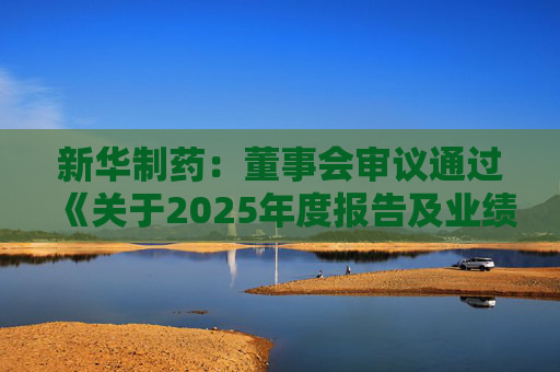 新华制药：董事会审议通过《关于2025年度报告及业绩公告的议案》等多项议案  第1张
