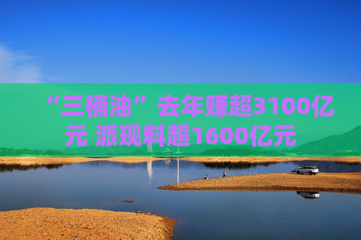 “三桶油”去年赚超3100亿元 派现料超1600亿元