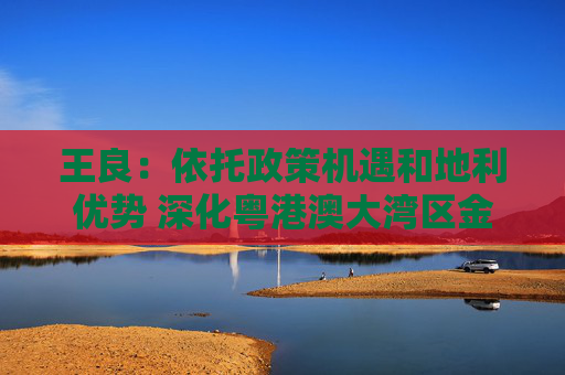 王良：依托政策机遇和地利优势 深化粤港澳大湾区金融联动