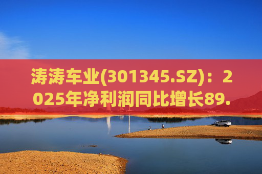 涛涛车业(301345.SZ)：2025年净利润同比增长89.29% 拟10派15元  第1张