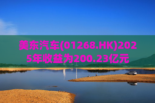 美东汽车(01268.HK)2025年收益为200.23亿元