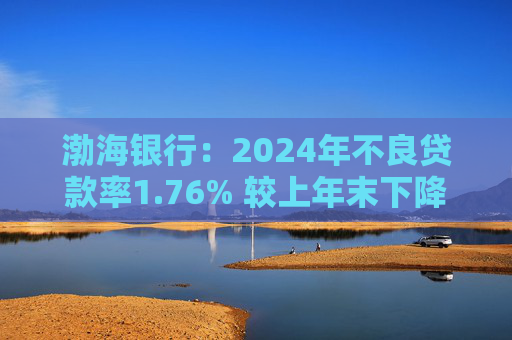 渤海银行：2024年不良贷款率1.76% 较上年末下降0.02个百分点
