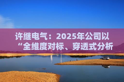 许继电气：2025年公司以“全维度对标、穿透式分析、动态化管控”为核心  第1张