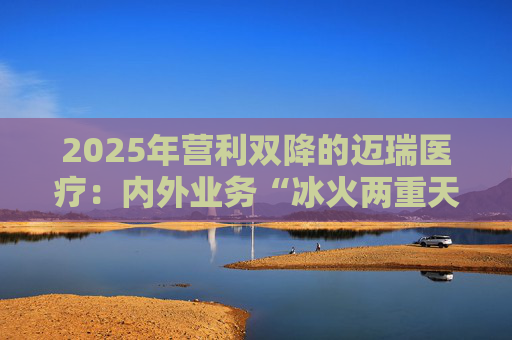 2025年营利双降的迈瑞医疗：内外业务“冰火两重天”
