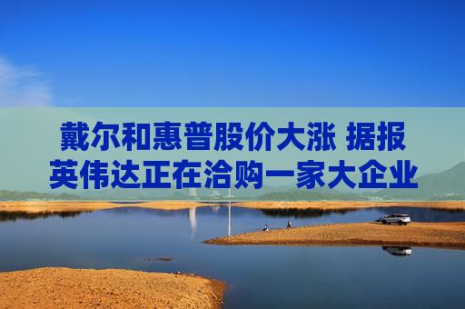 戴尔和惠普股价大涨 据报英伟达正在洽购一家大企业