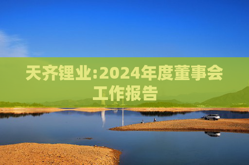 天齐锂业:2024年度董事会工作报告  第1张