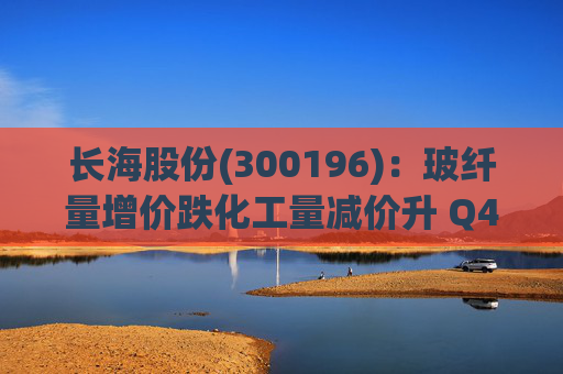 长海股份(300196)：玻纤量增价跌化工量减价升 Q4业绩同比显著修复