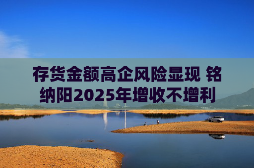 存货金额高企风险显现 铭纳阳2025年增收不增利
