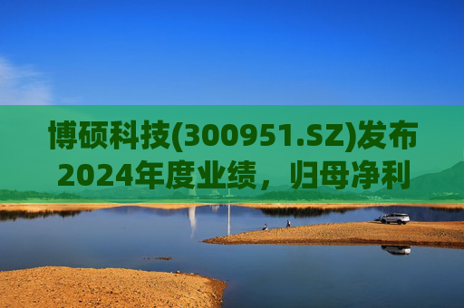 博硕科技(300951.SZ)发布2024年度业绩，归母净利润2.11亿元，同比下降17.35%  第1张