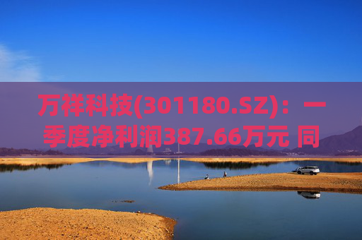 万祥科技(301180.SZ)：一季度净利润387.66万元 同比增加2125.47%
