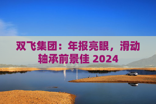 双飞集团：年报亮眼，滑动轴承前景佳 2024