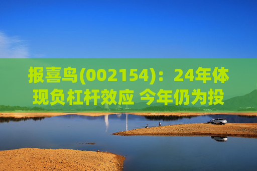 报喜鸟(002154)：24年体现负杠杆效应 今年仍为投入年
