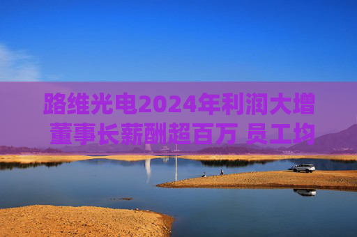 路维光电2024年利润大增 董事长薪酬超百万 员工均薪亦涨