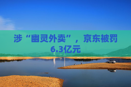 涉“幽灵外卖”，京东被罚6.3亿元  第1张