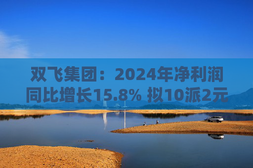 双飞集团：2024年净利润同比增长15.8% 拟10派2元