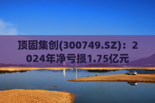 顶固集创(300749.SZ)：2024年净亏损1.75亿元  第1张