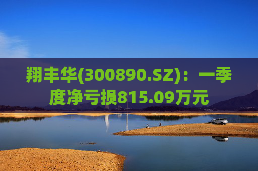 翔丰华(300890.SZ)：一季度净亏损815.09万元
