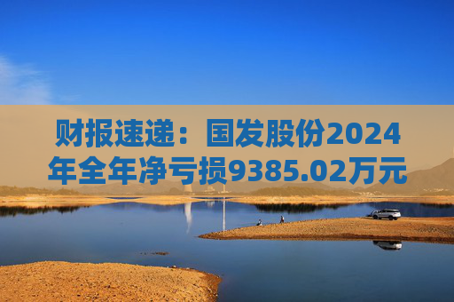 财报速递：国发股份2024年全年净亏损9385.02万元