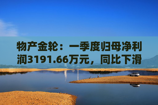物产金轮：一季度归母净利润3191.66万元，同比下滑7.43%  第1张