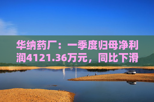 华纳药厂：一季度归母净利润4121.36万元，同比下滑31.37%  第1张