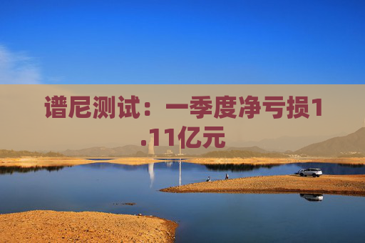 谱尼测试：一季度净亏损1.11亿元  第1张