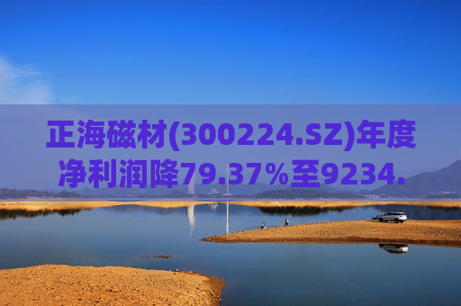 正海磁材(300224.SZ)年度净利润降79.37%至9234.02万元  高性能钕铁硼永磁材料销量实现连续七年增长