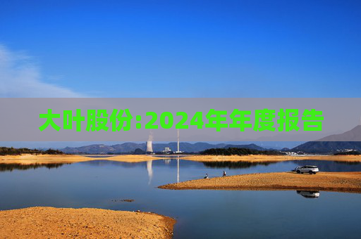 大叶股份:2024年年度报告  第1张