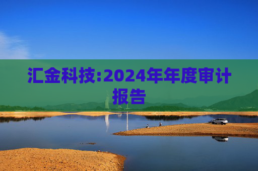汇金科技:2024年年度审计报告