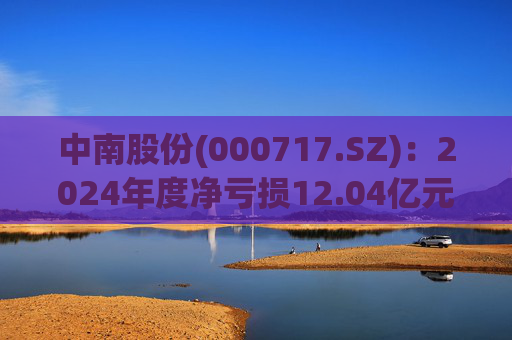 中南股份(000717.SZ)：2024年度净亏损12.04亿元