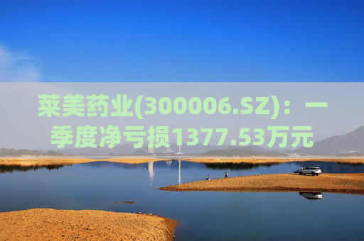 莱美药业(300006.SZ)：一季度净亏损1377.53万元