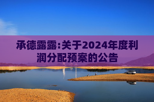 承德露露:关于2024年度利润分配预案的公告