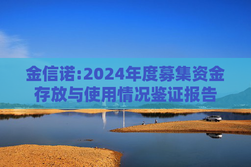 金信诺:2024年度募集资金存放与使用情况鉴证报告