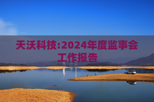 天沃科技:2024年度监事会工作报告