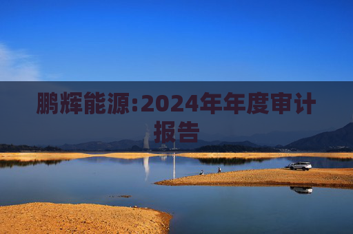 鹏辉能源:2024年年度审计报告