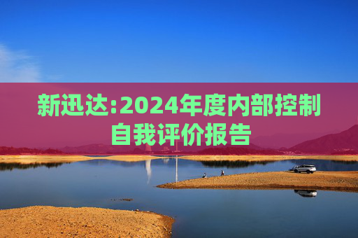 新迅达:2024年度内部控制自我评价报告