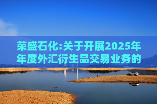 荣盛石化:关于开展2025年年度外汇衍生品交易业务的公告