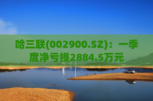 哈三联(002900.SZ)：一季度净亏损2884.5万元  第1张